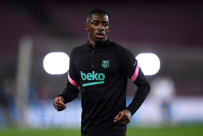 野和快速的 野和快速的